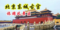 逼喷水网站中国北京-东城古宫旅游风景区