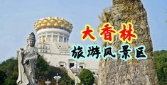 男人的鸡巴插女人的鸡网站中国浙江-绍兴大香林旅游风景区